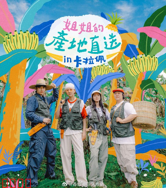 姐姐家的产地直送3：城乡温情连线