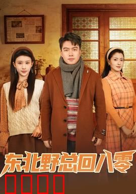 东北野总回八零：霸道总裁穿越记