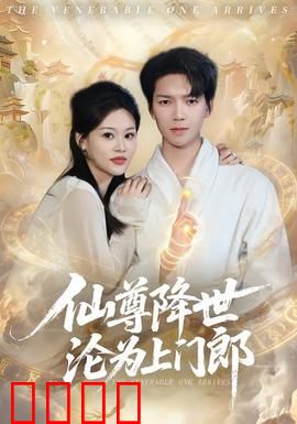 仙尊降世沦为上门郎：今生成赘婿