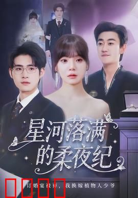 星河落满的柔夜纪：时光逆旅