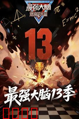 最强大脑 第十三季：脑力巅峰再燃