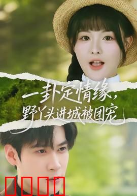 一卦定情缘，野丫头进城被团宠：卦术甜宠