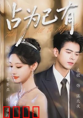 占为己有：暗房迷局