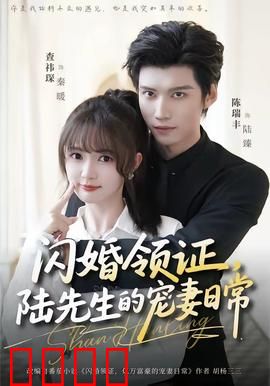 闪婚领证，陆先生的宠妻日常：甜到心坎的霸总