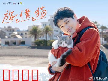 旅行和我和猫：一路相伴的温暖