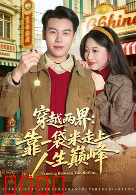 穿越两界：平行人生