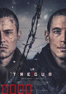 休战：归途与和解