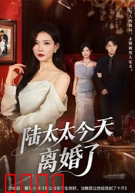 陆太太今天离婚了：霸总追妻火葬场
