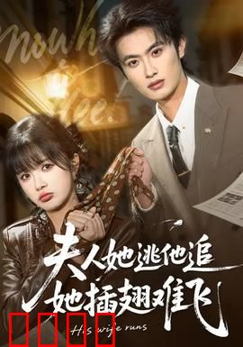 夫人她逃他追，她插翅难飞：霸总追妻狂虐