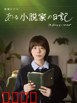 某小说家的日记：致命谎言