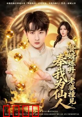 赘婿炼丹，老婆撞见，奉我为仙人：天才赘婿逆袭