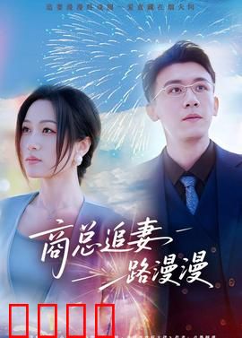 商总追妻路漫漫：追妻火葬场甜宠