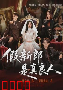 假新郎是真良人：错位姻缘终成真