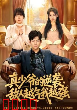 真少爷的逆袭，敌人越气我越强：逆袭风暴