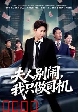 夫人别闹我只做司机：女总裁倒追憨直司机