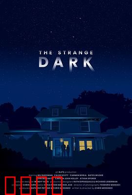 奇异黑暗：暗夜中的秘密