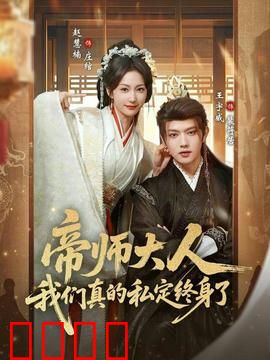 帝师大人我们真的私定终身了：穿越女追爱记