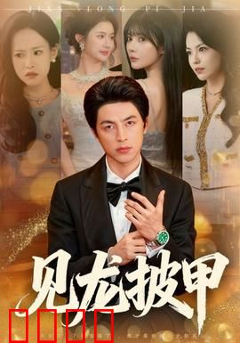 见龙披甲：血战长坂