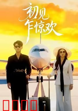 初见乍惊欢：时光逆转之恋