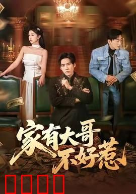 《大哥归来：浴火重生