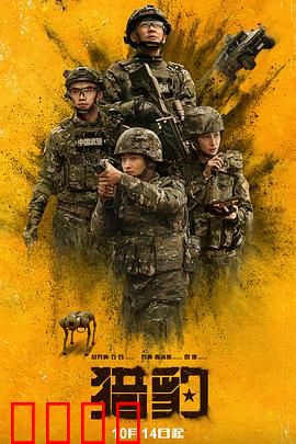 猎豹：警黑博弈