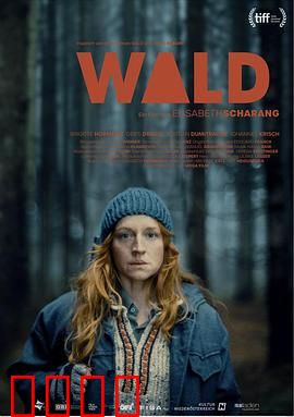 走出丛林：荒野重生