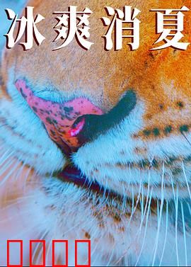 寒冰白血：极地战士