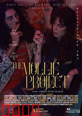 莫莉计划：觉醒的机器人