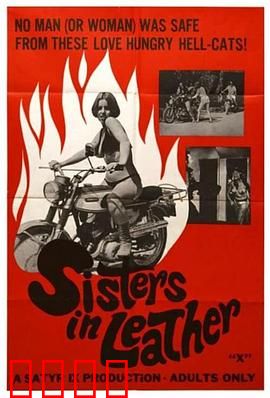 皮衣姐妹：双面人生