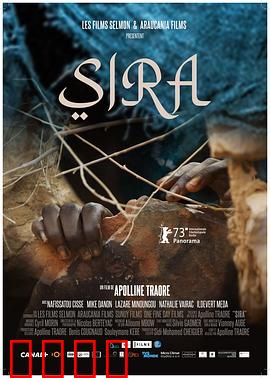 茜拉：不屈的玫瑰