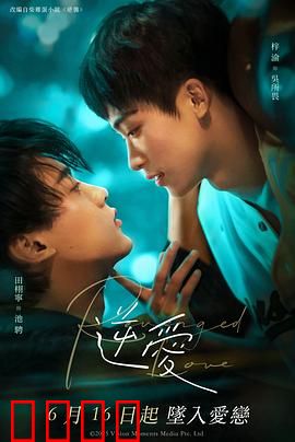 逆爱2025：代码之恋