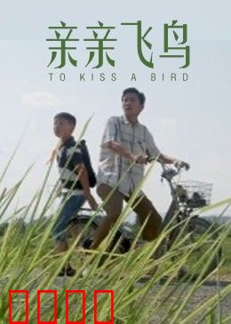 亲亲飞鸟：自由的抉择