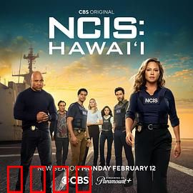 海军罪案调查处：海上迷案