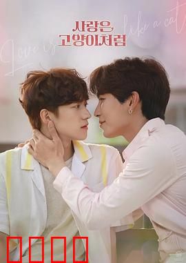 爱情像猫一样：若即若离的爱