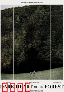 森林的黑暗心脏：无人幸存的诅咒