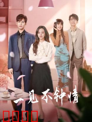 一见不钟情2024：错位时空的恋爱