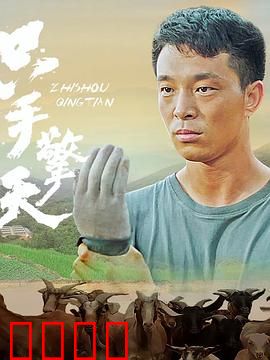 只手擎天：黑道枭雄
