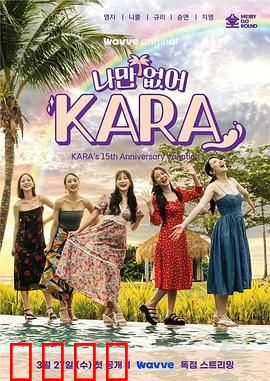 只有没有我，KARA：最后的记忆