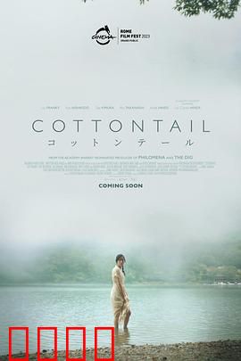 棉尾兔：迷失的真相