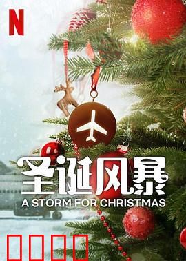 圣诞风暴：暴雪中的奇迹