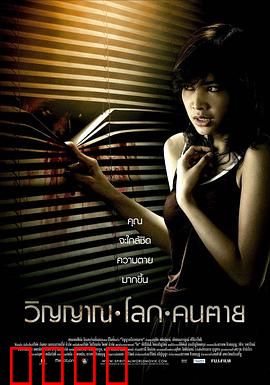 尸魂落魄：魂归何处