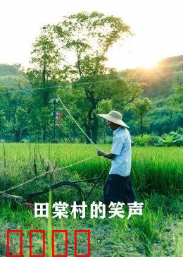 田棠村的笑声：欢笑与乡愁