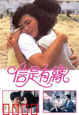 信是有缘粤语：情缘未了