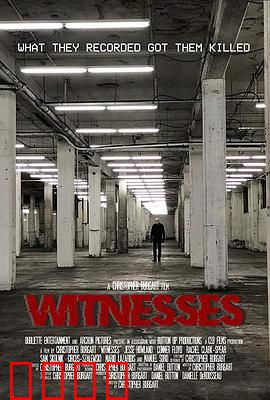 目击者2019：盲证追凶