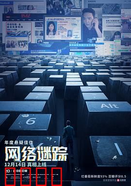 网络谜踪：数字寻踪