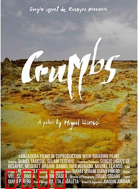 末日后的宇宙碎片：生存抉择