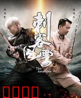 刺客风云：暗影中的抉择