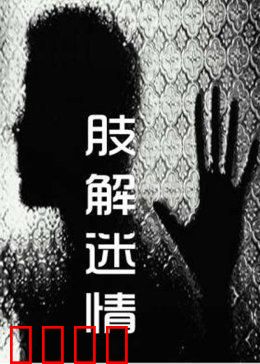 肢解迷情：爱的碎片