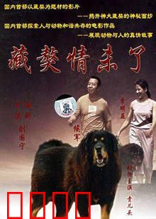 藏獒情未了：忠犬之魂