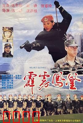 霹雳凤凰：女警觉醒